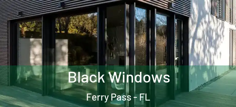  Black Windows Ferry Pass - FL