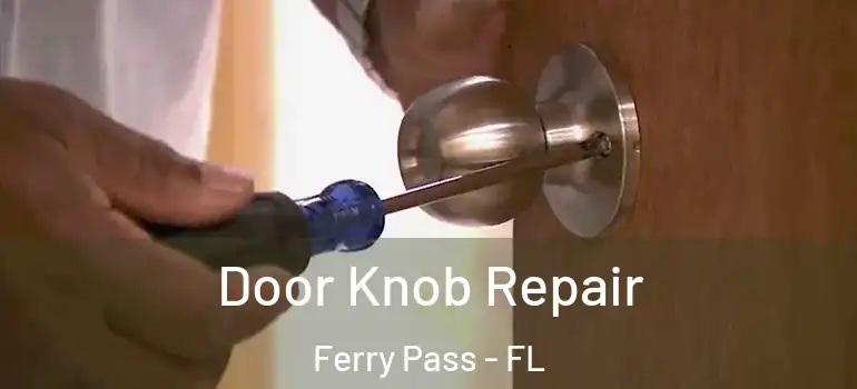 Door Knob Repair Ferry Pass - FL