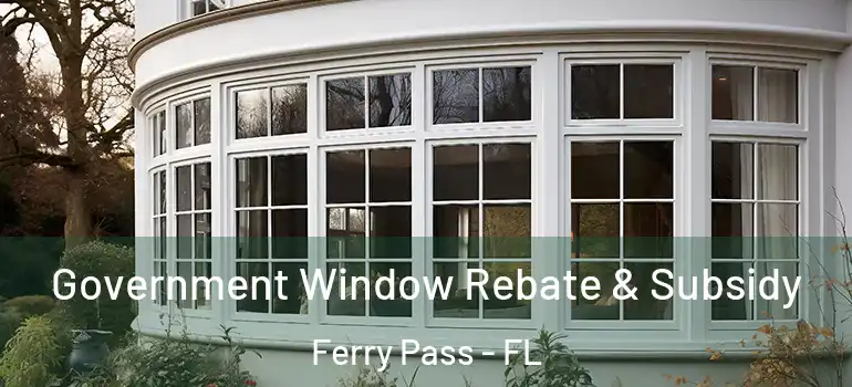  Government Window Rebate & Subsidy Ferry Pass - FL