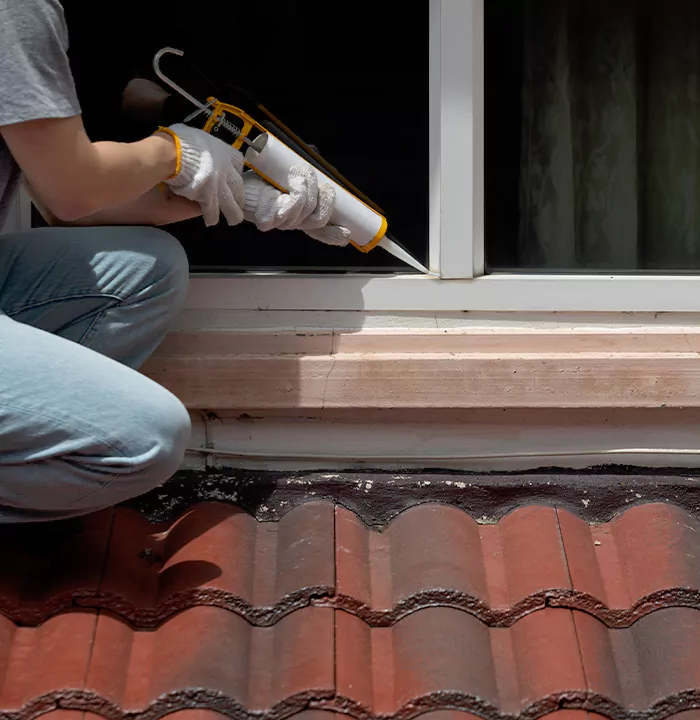 Roof Window Services in Ferry Pass, Florida