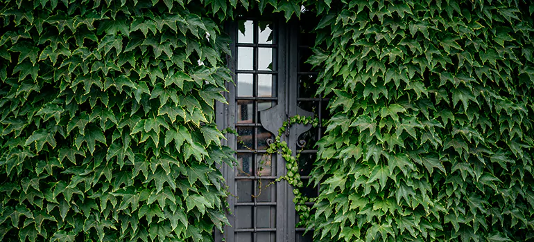 Garden Gate Repair in Ferry Pass, FL