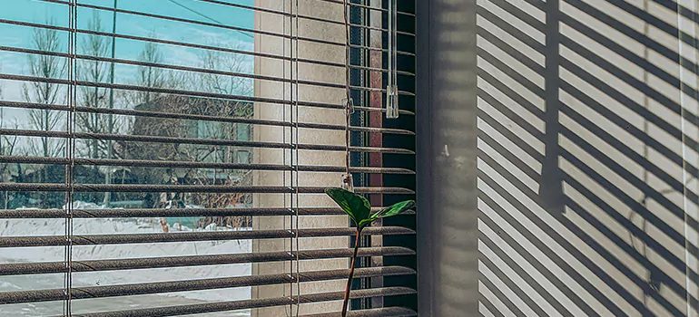 Commercial Window Blinds in Ferry Pass, FL