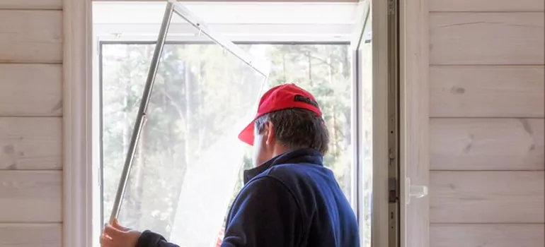 Expandable Window Screen Installation in Ferry Pass, FL