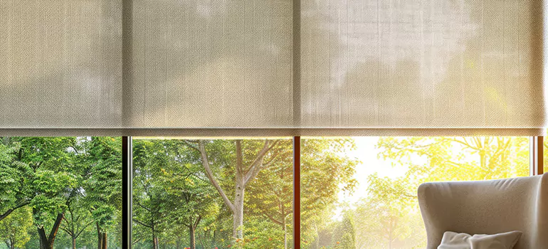 Custom Window Shades in Ferry Pass, FL