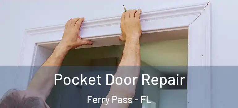  Pocket Door Repair Ferry Pass - FL