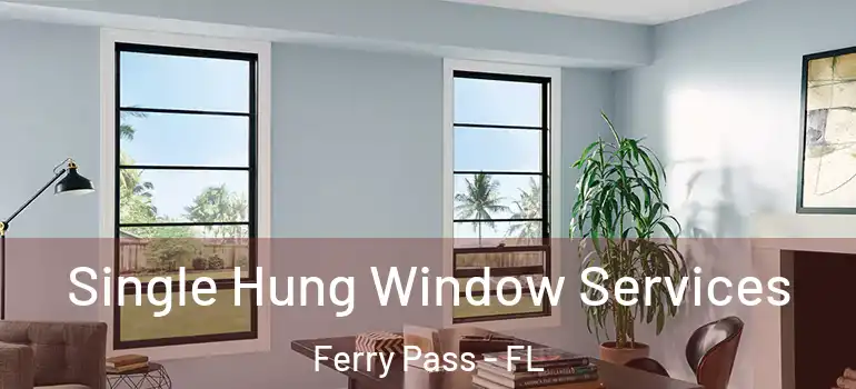  Single Hung Window Services Ferry Pass - FL
