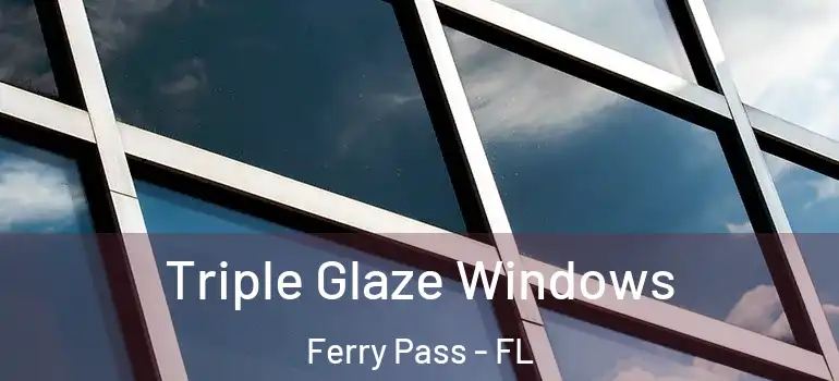  Triple Glaze Windows Ferry Pass - FL