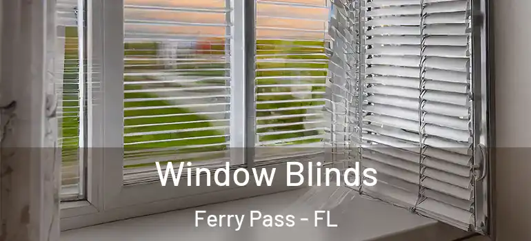  Window Blinds Ferry Pass - FL