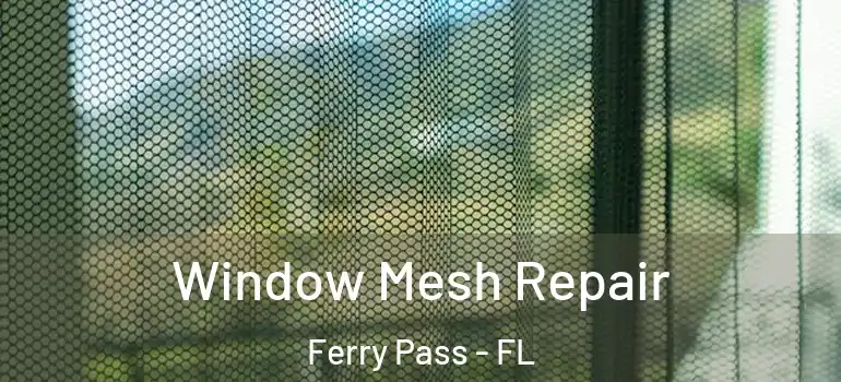  Window Mesh Repair Ferry Pass - FL