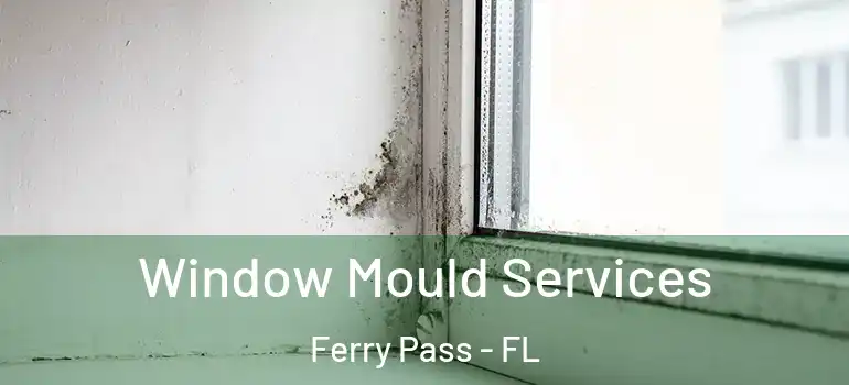  Window Mould Services Ferry Pass - FL