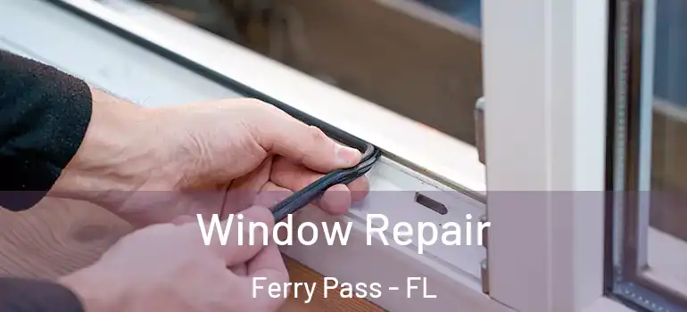  Window Repair Ferry Pass - FL